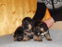 /album/a20-days/stence-e-vrh-004-jpg/